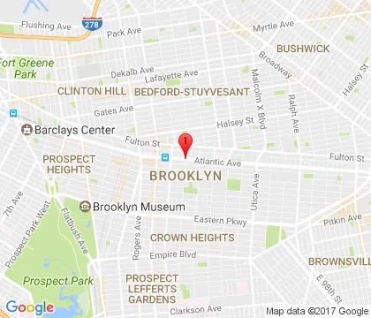 logo-image - brooklyn-ny